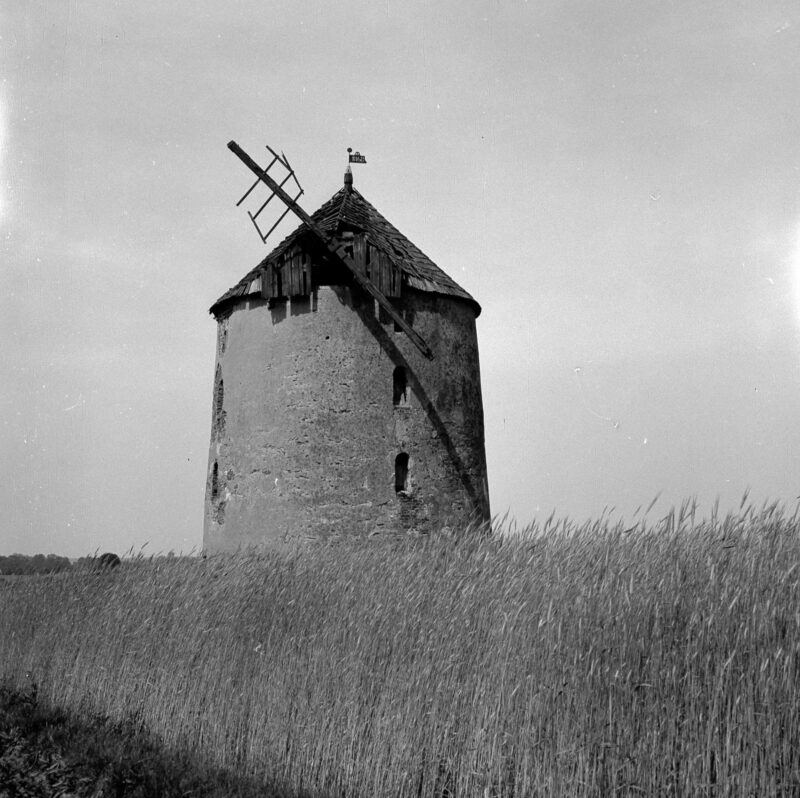 Czarno-biała fotografia przedstawia stary, murowany wiatrak. Ma rozpadający się dach i jedynie fragment skrzydła. Na pierwszym planie widoczne jest pole zboża.